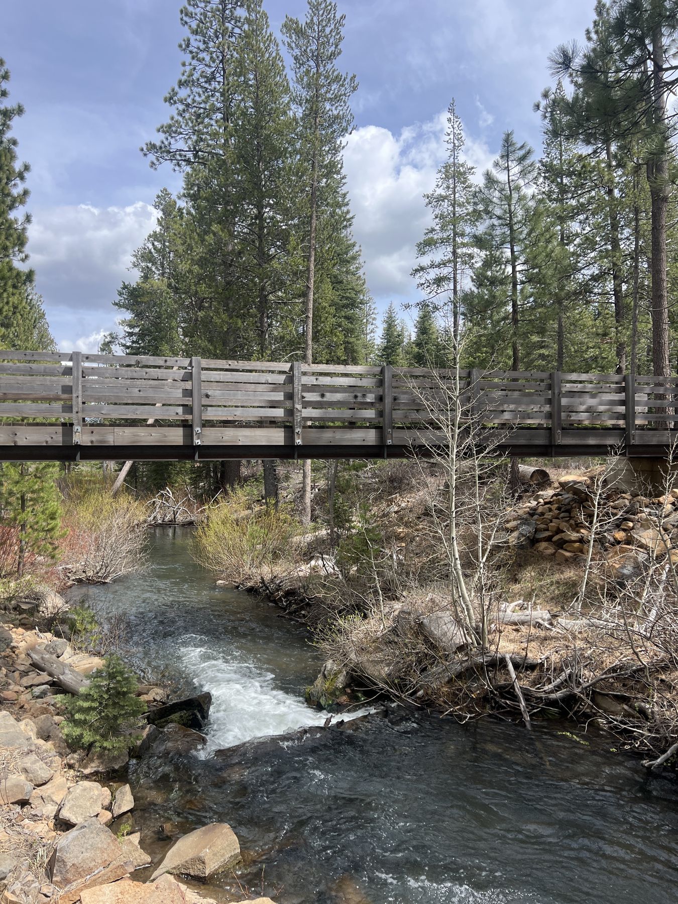 Wooden footbridge over a mountain creek under blue sky — bear country near the haus